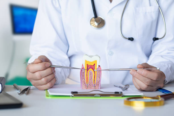 Best Chipped Tooth Repair Near Me  in Bunkie, LA